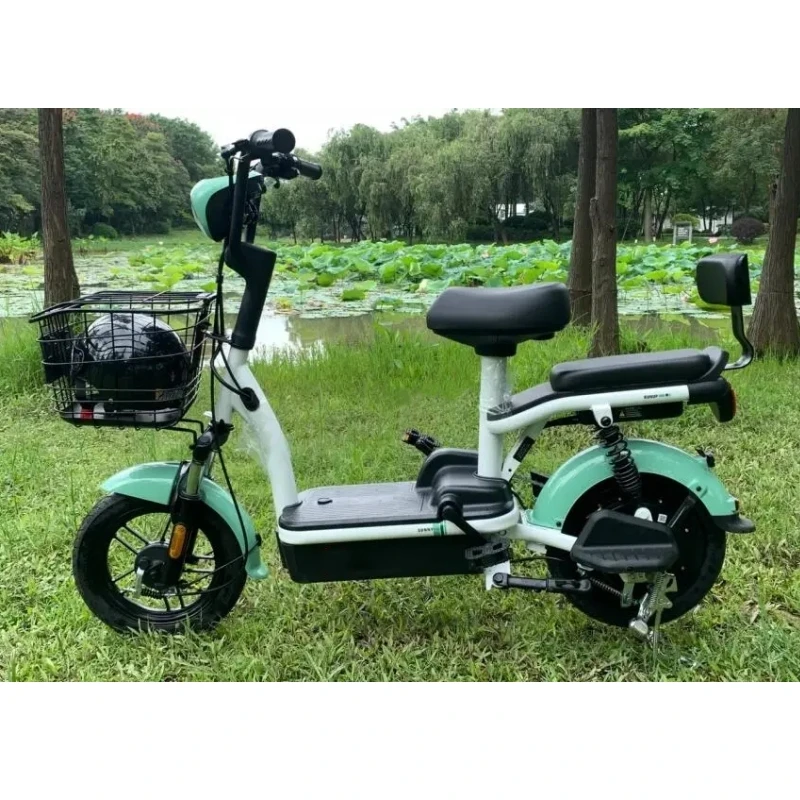 Electric Bike Small Women Bike Adult Folding Bike Small Women