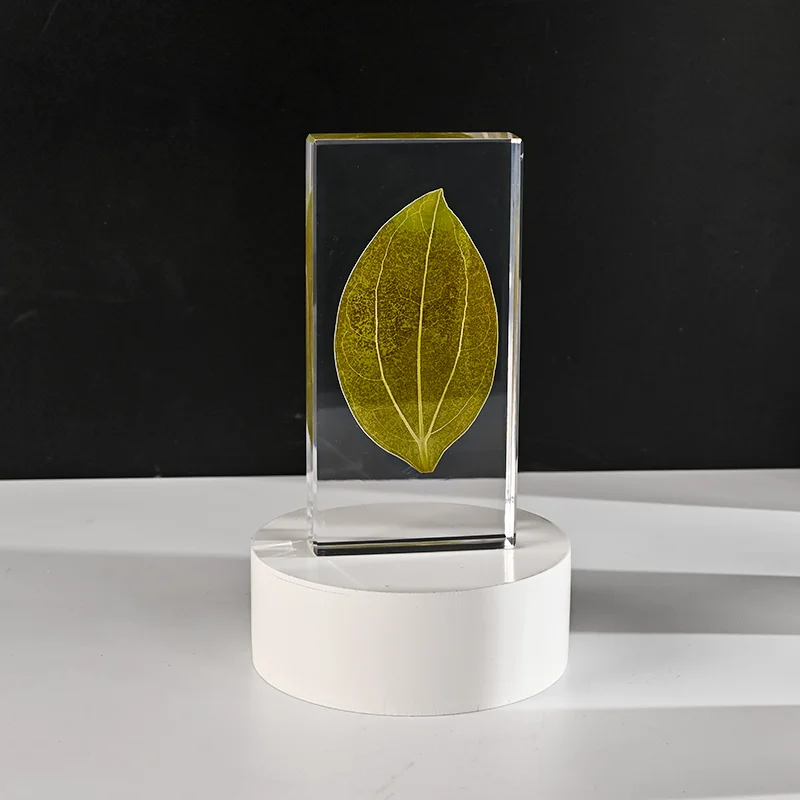 Shining Clear Glass Custom Crystal Dome Paperweight Leaf Specimen Art Creative Gift Book Desktop Blank Crystal Cube
