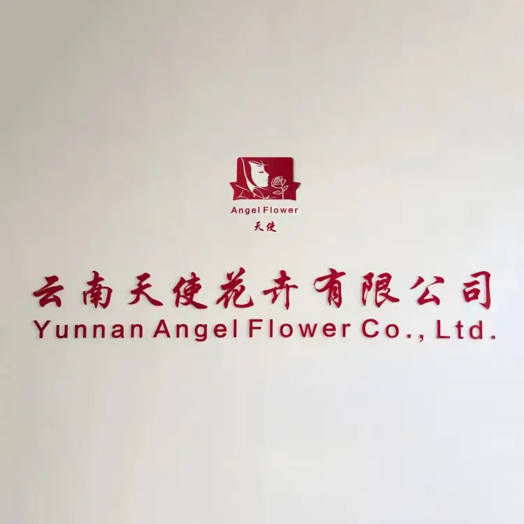 Yunnan Angel Flowers Co., Ltd. 1