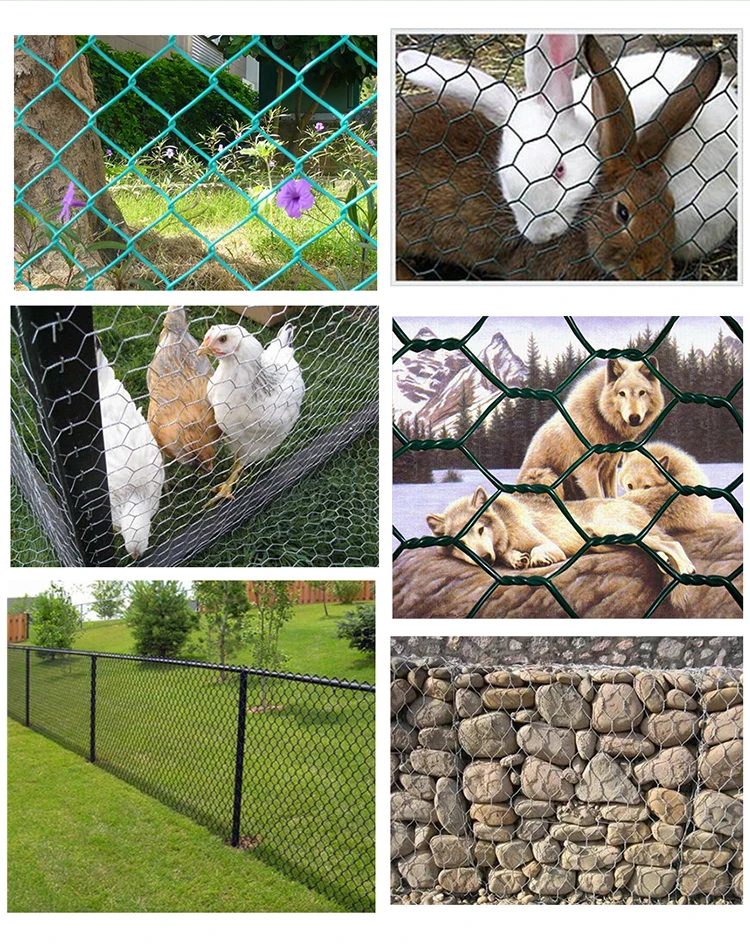 Hexagonal Wire Netting750.jpg