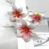 Red Core