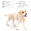 T15063 Labrador 16g