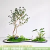 Little Banyan Leaf Set