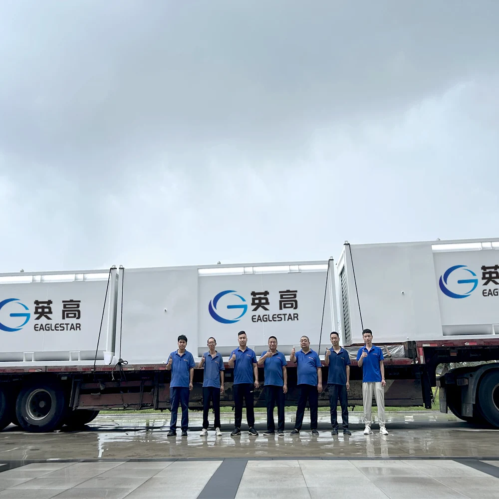 20FT 40FT Container Fuel Tank/ Mobile Fuel Station for Diesel and Petrol