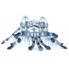CL-01301