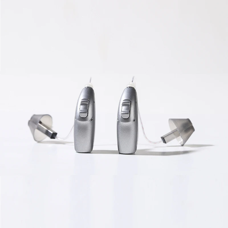 Trending Products 2024 New Arrivals Hearing Aids Ric Iic Cic Bte