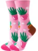 Pink cactus