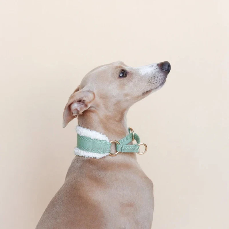 Fullto OEM Outdoor Training Adjustable Personalized Walking Training Martingale Dog Collar