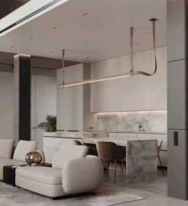 ECOJAS 2026 New design style Belt light for villa living room decor chandelier