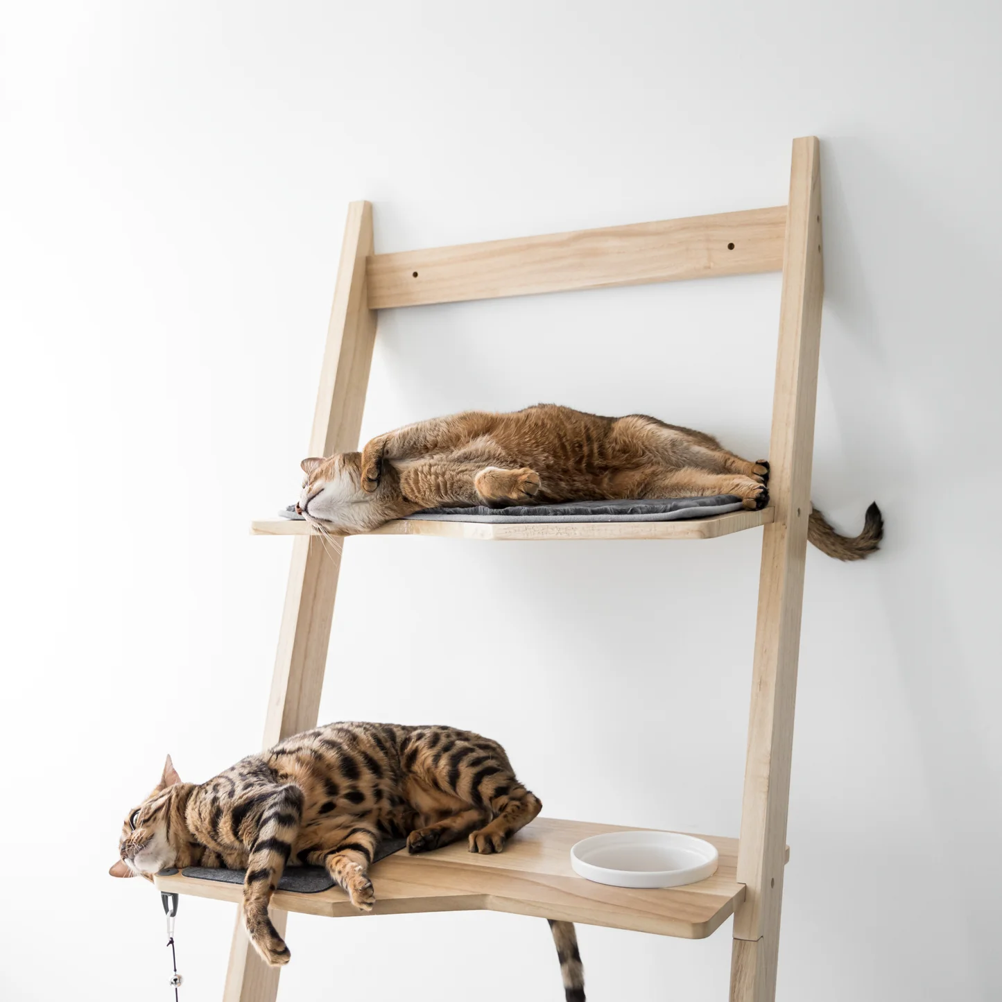 Solid Wood Cat Tree Climbing Wood Cat Ladder With Scratcher Buy Wood