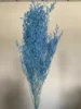 Azzurro di cielo