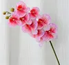 Cuore rosa