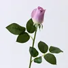 สีม่วง