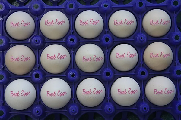 5 Rows Egg Code Inkjet Printing Machine logo Stamping Machine for Egg