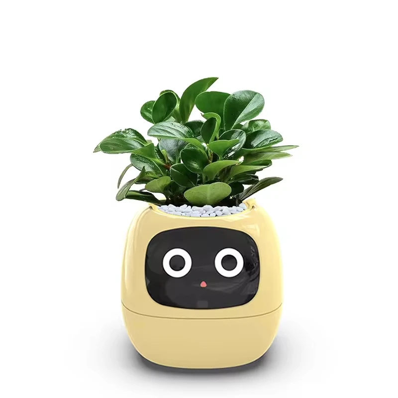 Intelligent Lazy Person Automatic Water Absorbing Flower Pot Plastic Resin Circular USB Rechargeable Indoor Plant Potted Plants