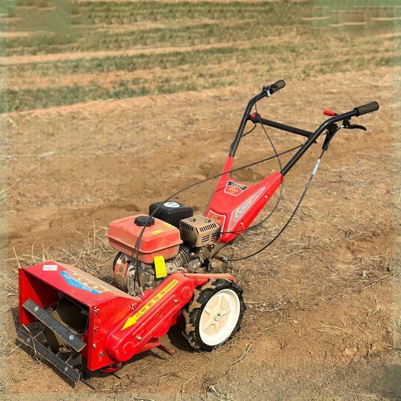 Paddy Rice Weeding Machine Machines to Weeds the Farm Maize Weeding Machine for Sale