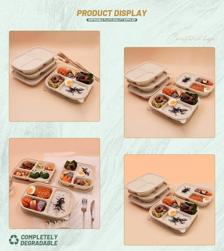 Biodegradable Corn Starch Food Container Eco-Friendly Take Away Lunch ...