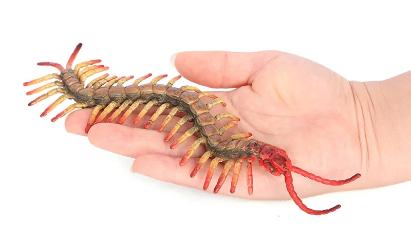 Wholesale Solid PVC Simulation Model Beetle Bee Spider Butterfly Insect Figurines Bug Animal Figurines Toys