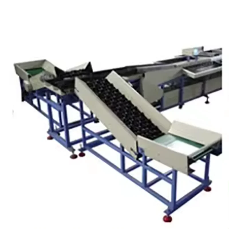 Plum Grading Machine Fruit Sorting Machine Fruit Sorter Prunes Sorting Size Machinery