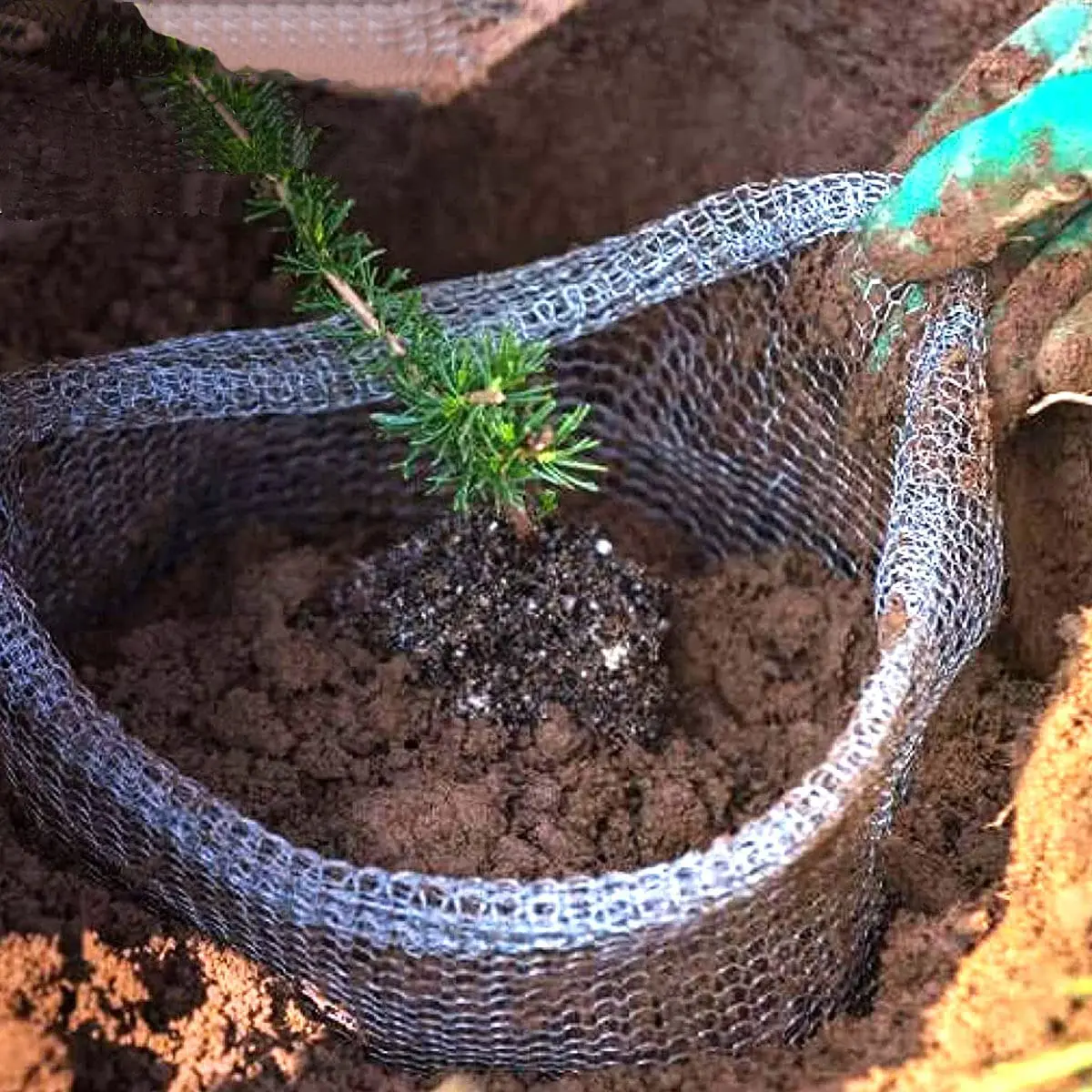 Stainless Steel Wire Mesh Bag Protecting Tree Flower Root Guard Gopher ...