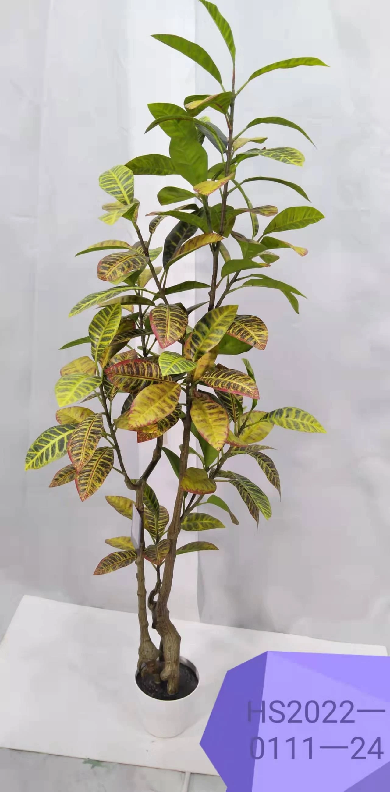 würgefeige bonsai Seedeo® Bengalische Würgefeige (Ficus benghalensis) 100 Samen main image 0