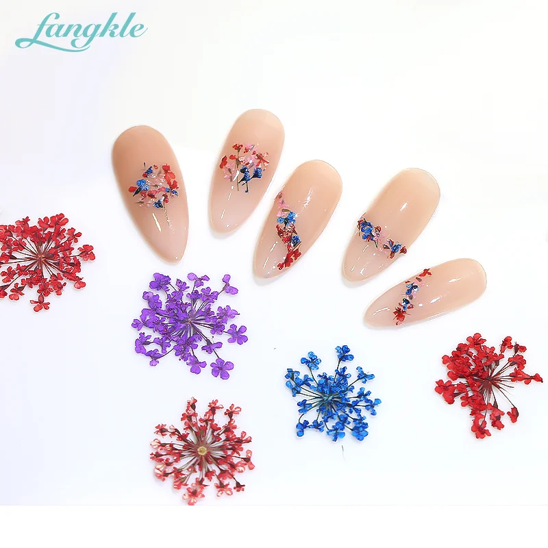 Wholesale 3d Dried Flower Nail Decoration Design For Nail Art Salon