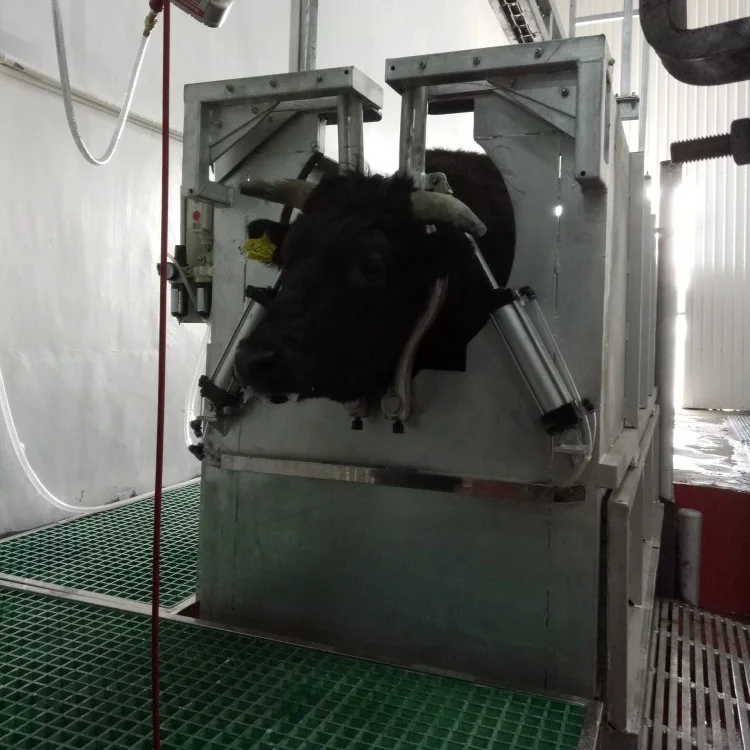 Cattle Abattoir Pneumatic Machine Ritual Killing Trap with Head Fix Device Motor As Core Component
