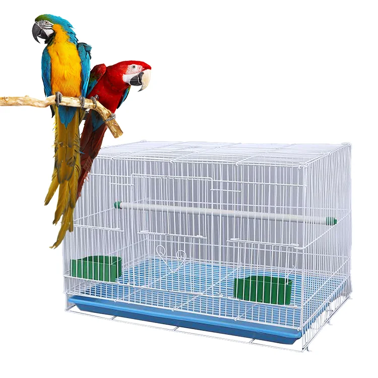 parrot breeding supplies