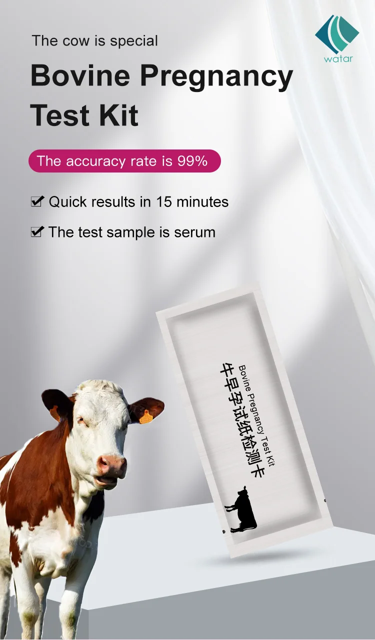 WatarBio DairyPal Bovine Pregnancy test SC506 Bovine Cow Cattle ...