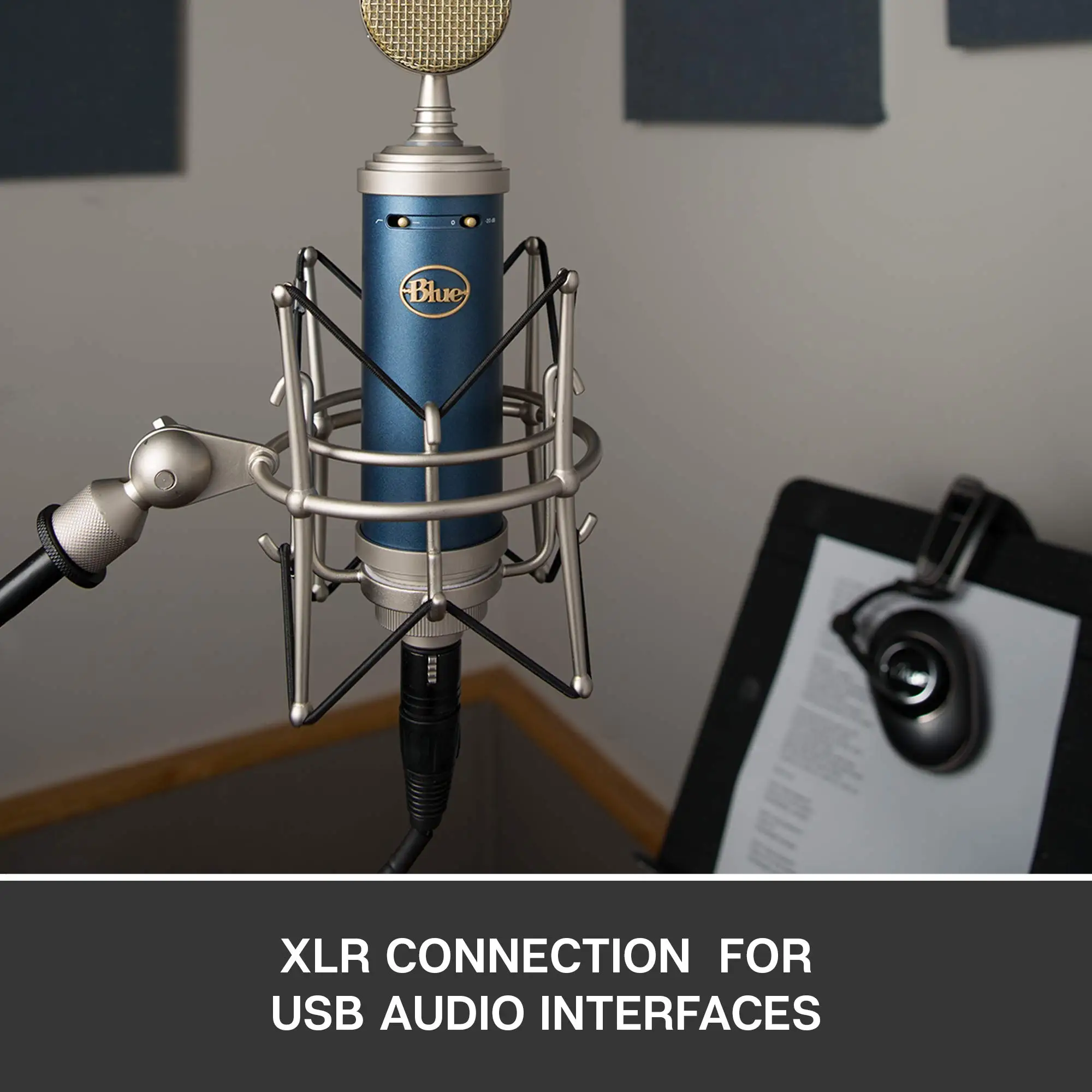 Blue Microphones BLUEBIRD SL BM1200 マイク Bluebird SL XLR Condenser Microphone BM1200｜の通販はソフマップ