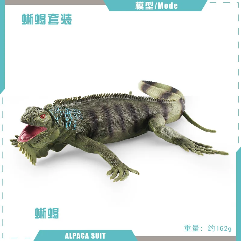 イグアナ　カメレオン　爬虫類 春ペポニ】イカす！イグアナ軍団vsカメレオン軍団 | 名古屋の