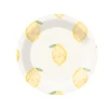 9inch paper plate*8pcs