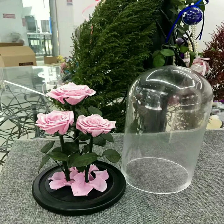 Beautiful A Grade Real Touch Preserved Rose Head 56 Cm Rose Bud 6