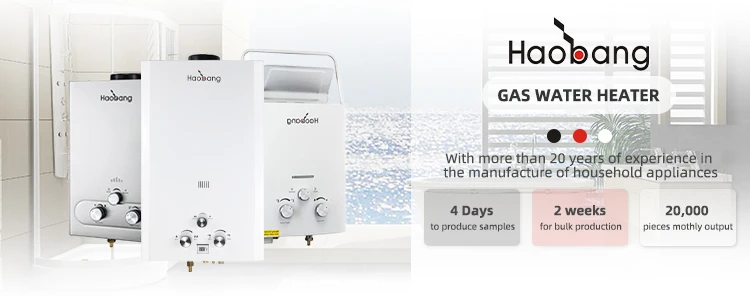 220V 0.025-1.0MPa Smart Tankless Gas Water Heater with 1 Year Warranty