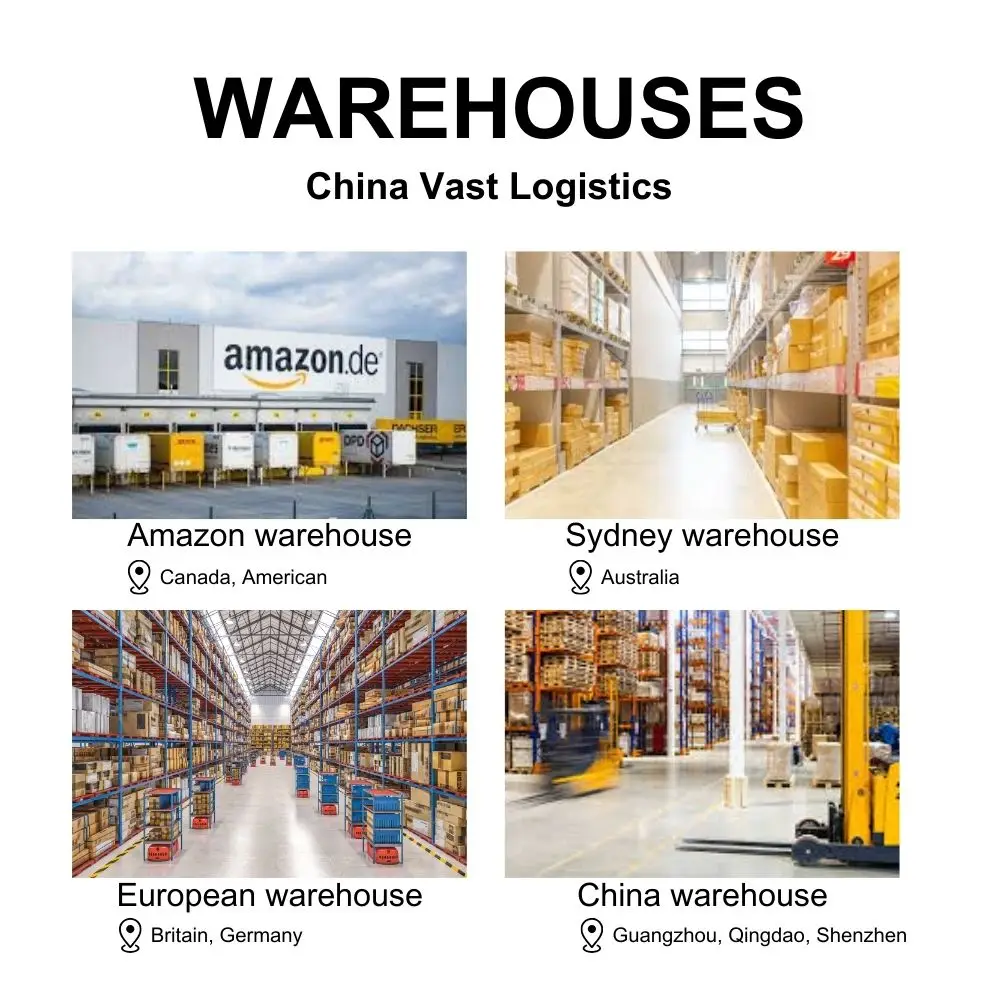 Sea Shipping Services Freight Forwarders Cheaper Prices China to Algeria/Ethiopia  Cargo Logistics Shipping Agents