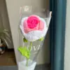 #5 crochet rose