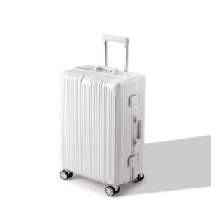 Large Fashion Unisex 24-Inch Password Trolley Spinner Suitcase 20-Inch Carry-On New PC Material TSA Approved