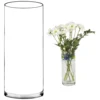 Transparent
