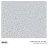 BM101