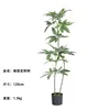 Nuevo Árbol del Dinero de 120 cm