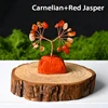 Cornalina + Jaspe rojo