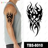 TBS8010