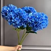 azul2