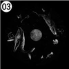 Noir 03 Baleine