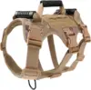 ลายพราง