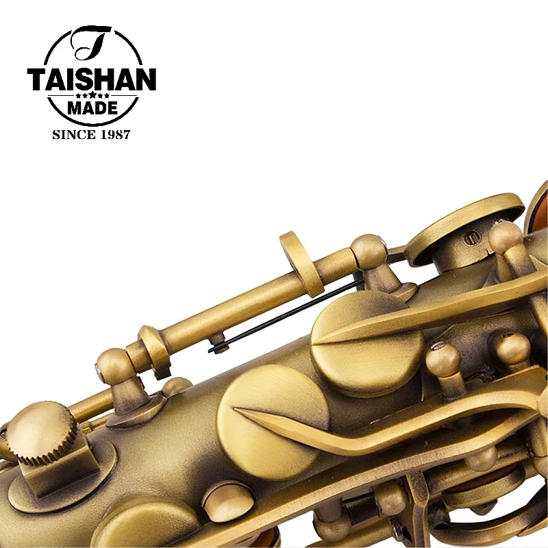Taishan TSAS-6000L Matte Antique Bronze Finish Adjustable