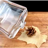 Transparent bottle (without lid and spray)