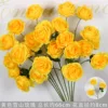 กิ่งกุหลาบภูเขาหิมะสีเหลือง