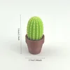 282857cm 116g-clicker cactus