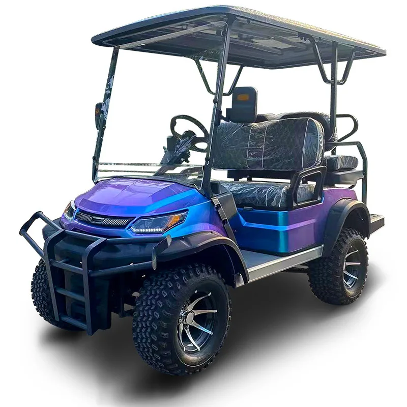 2025 New Product Parison  4 Seater Fast Single Seater Purple  Off Road Golf Cart Electric Vehicle 2025SDZX12PTPR107